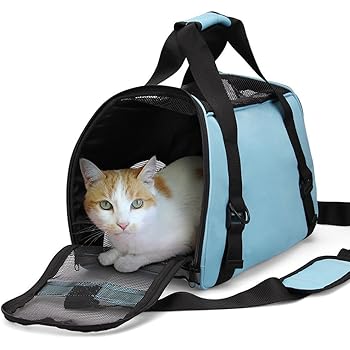 cheeko pet carrier