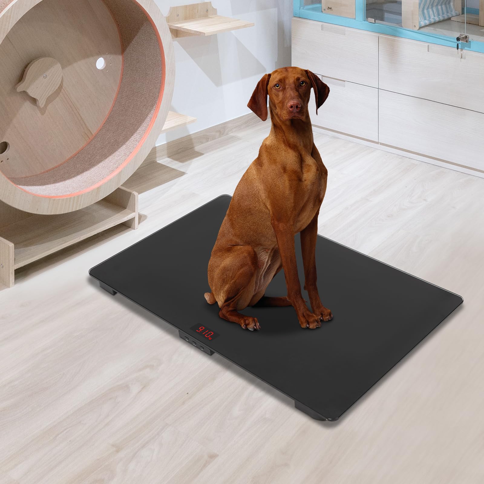 Tierwaage für große Hunde, 80 x 50 cm, Veterinärwaage mit LCD-Display und Anti-Rutsch-Matte, Tierwaagen-Plattform, Tragkraft bis 100 kg, Genauigkeit 10 g, mit Tara/Halten/Unit