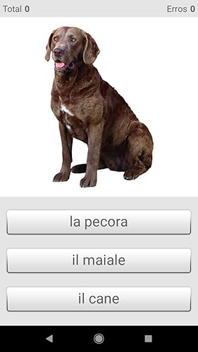 Aprendemos palavras italianas com Smart-Teacher
