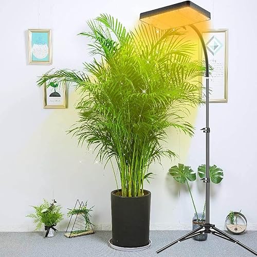 Miniatura 7 de Grocruiser Luz de cultivo con soporte, luz de crecimiento de piso de espectro completo de 200 W, luces de plantas para cultivo en interiores con