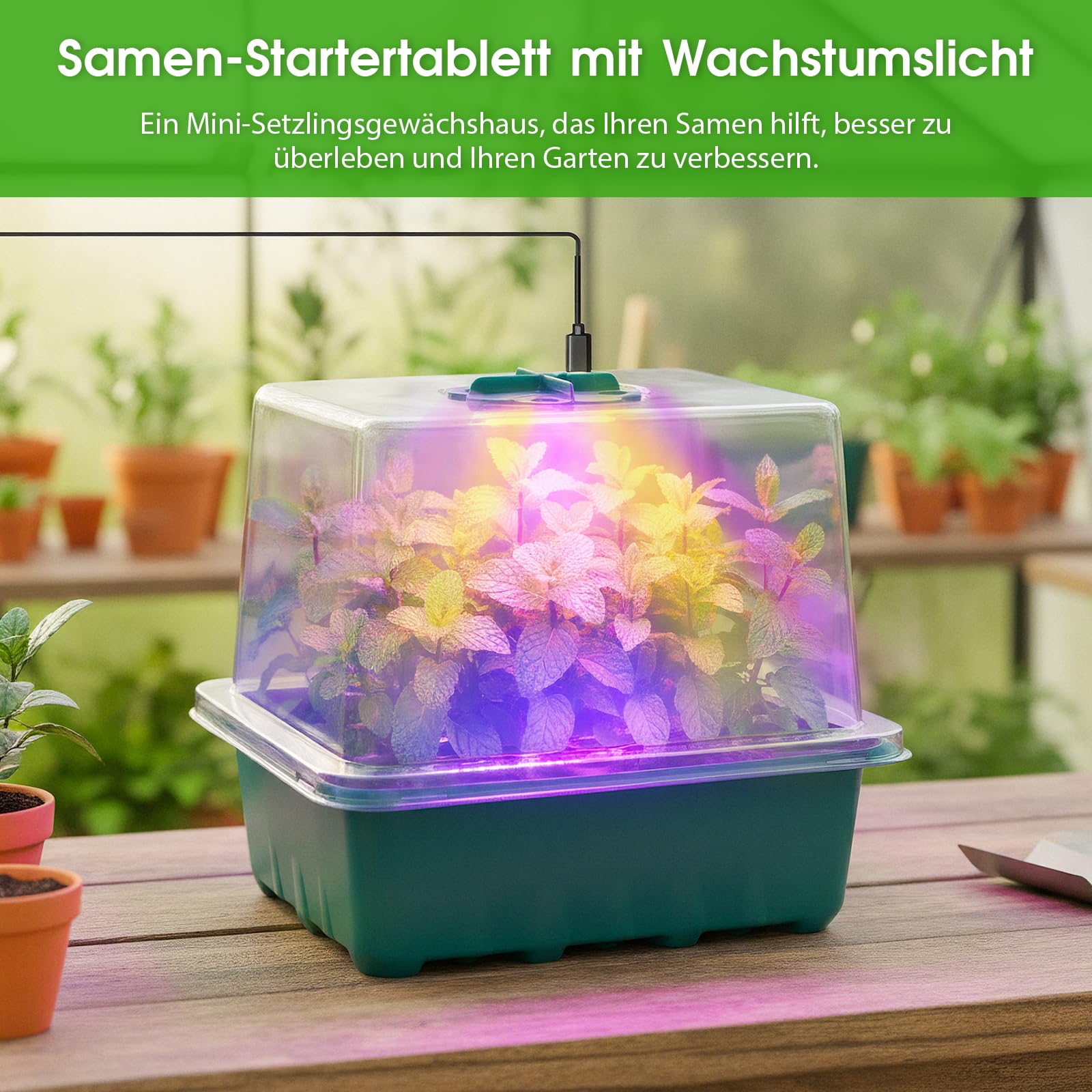 Anzuchtschale mit Wachstumslicht, 3 Lichtmodi Vollspektrum LED Pflanzenlampe, 5 Helligkeitsstufen Timer, Mini Gewächshaus für Fensterbank, Anzuchtset für Samen Kräuter Gemüse Stecklinge (6, Grün)