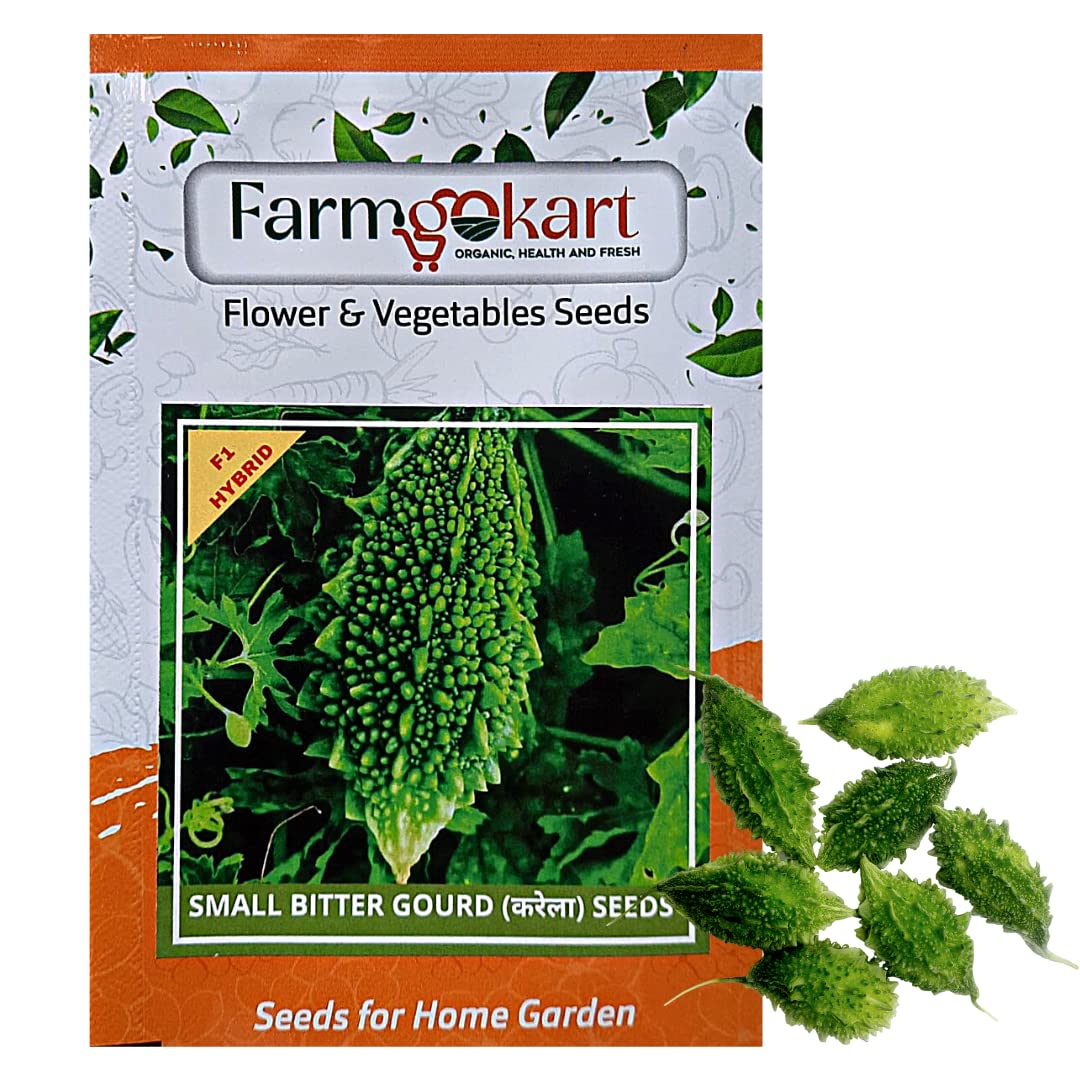 FARMGO 5 Gms - BITTER GOURD SMALL (KARELA) HYBRID F1 SEEDS Vegetable Seeds for Home Gardening, Farming, Hydroponics and Poly Houses