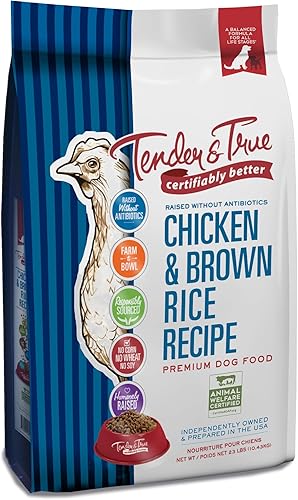Tender & cierto 854021antibiótico última intervensión pollo y arroz café 23LB seco perro Alimentación, uno tamaño