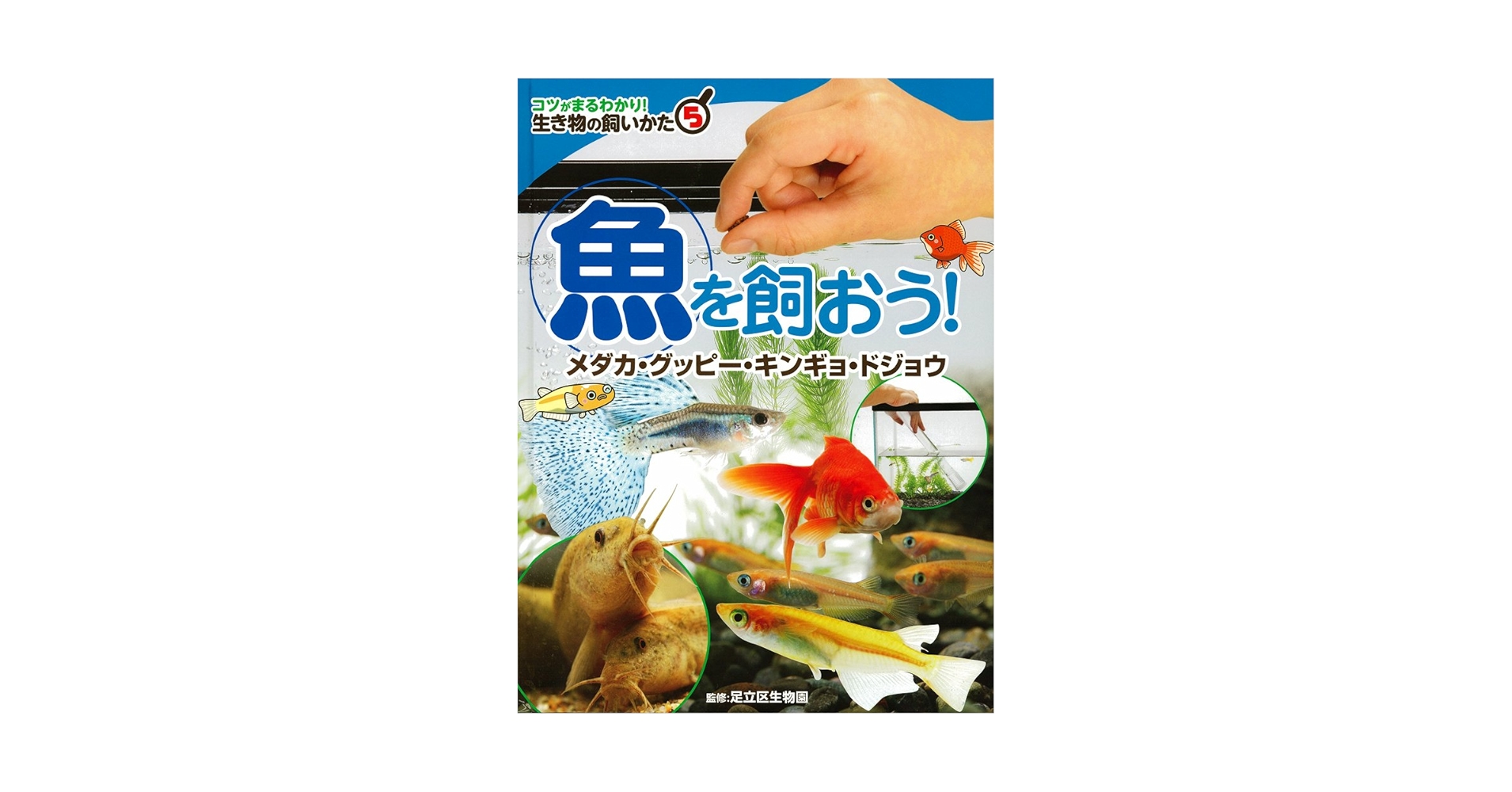 Amazon.co.jp: 魚を飼おう!: メダカ・グッピー・キンギョ