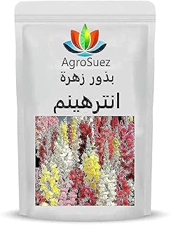 AgroSuez Home Farming Internum Flower Seeds