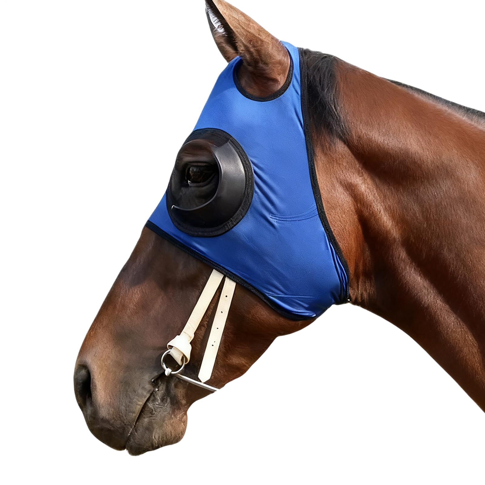 Paracolpi Oculari Per | Parabutte In Mesh Traspirante Con Flusso D'Aria - Paracolpi Per | Per Stalla Equitazione Competizione Allenamento Sport Equestri