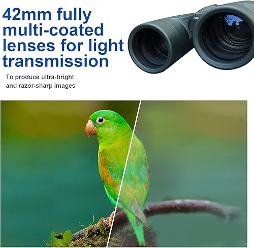 Miniatura 3 de Prismáticos de 8 x 42 para adultos, prismáticos de rehaffe HD impermeables a prueba de niebla, luz de viaje para observar aves, hacer excursiones y