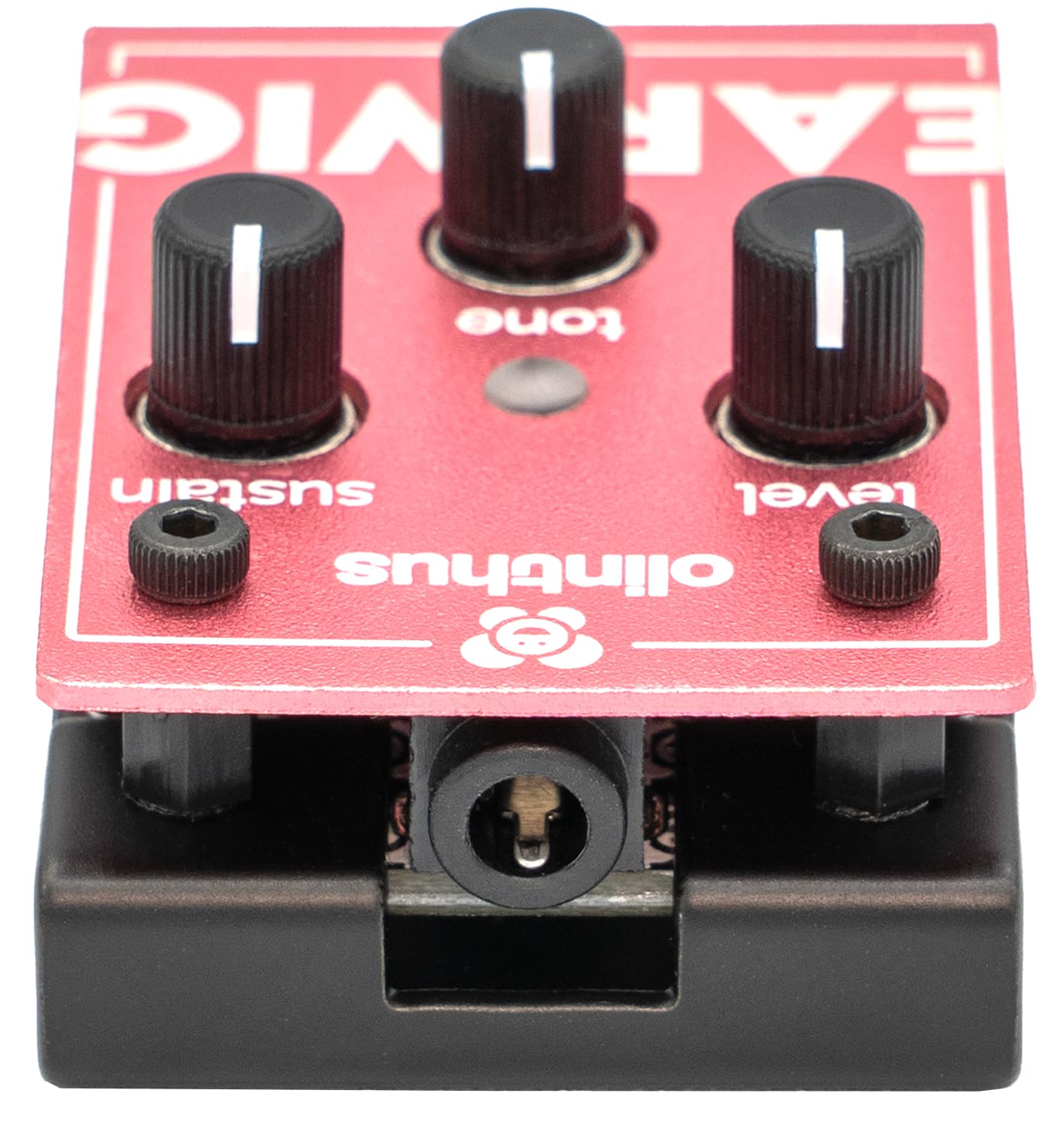 Olinthus オリンサス エフェクター ファズ Earwig [入出力用ブレ Amazon.com: Olinthus Olinthus Earwig Fuzz – World's Smallest