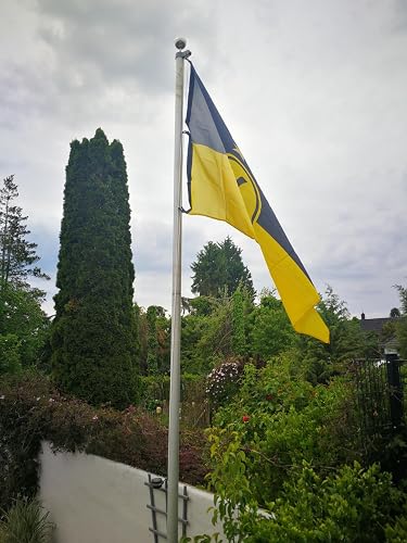 BVB Borussia Dortmund Drapeau à hisser Noir/jaune avec emblème 150 x 100 cm BVB Borussia Dortmund Drapeau à hisser Noir/jaune avec emblème 150 x 100 cm