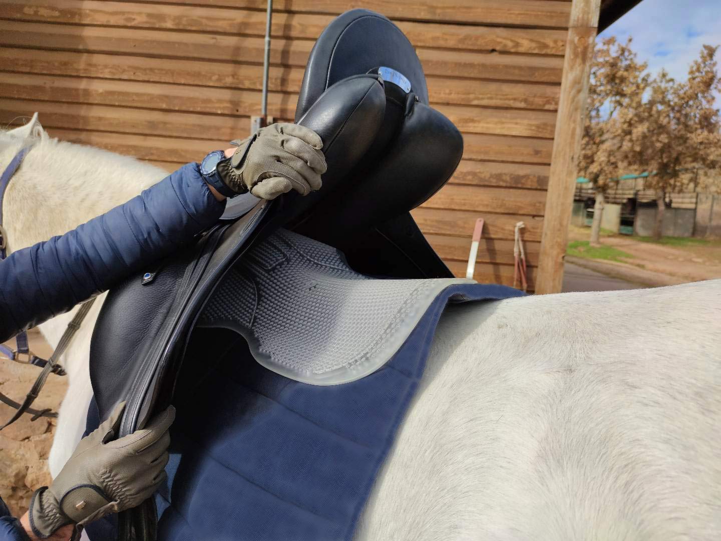 Almohadilla de Gel Antideslizante para sillín de Caballo, Almohadilla de Gel para Montar de Caballo.