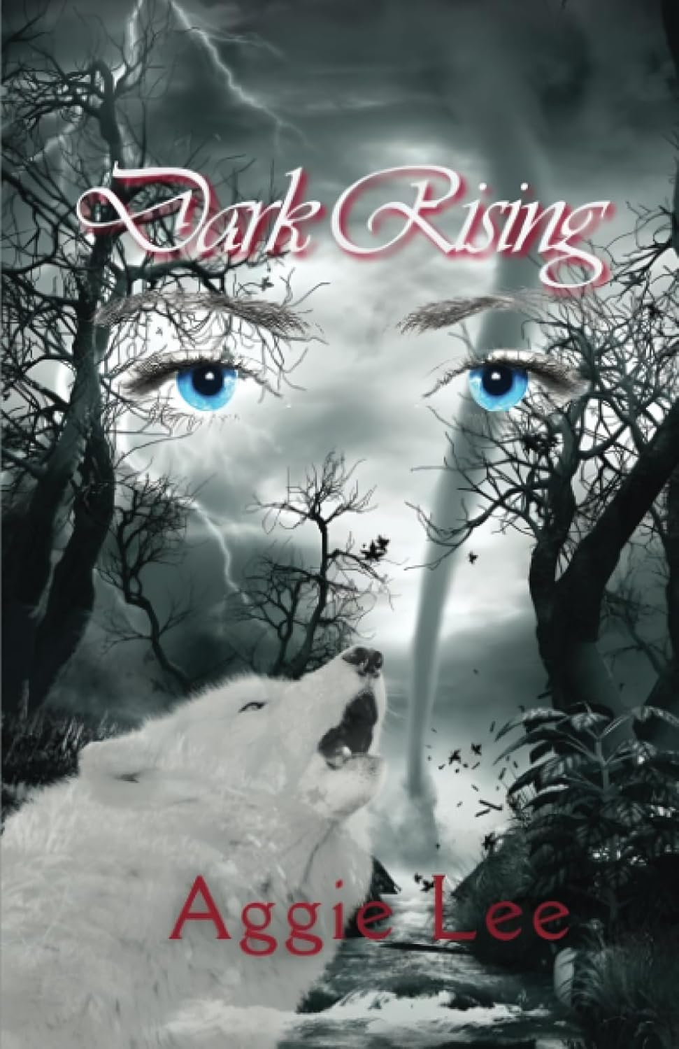 Dark Rising: 1