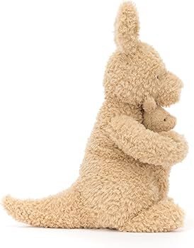 71CWtRLAiTL._AC_UF350,