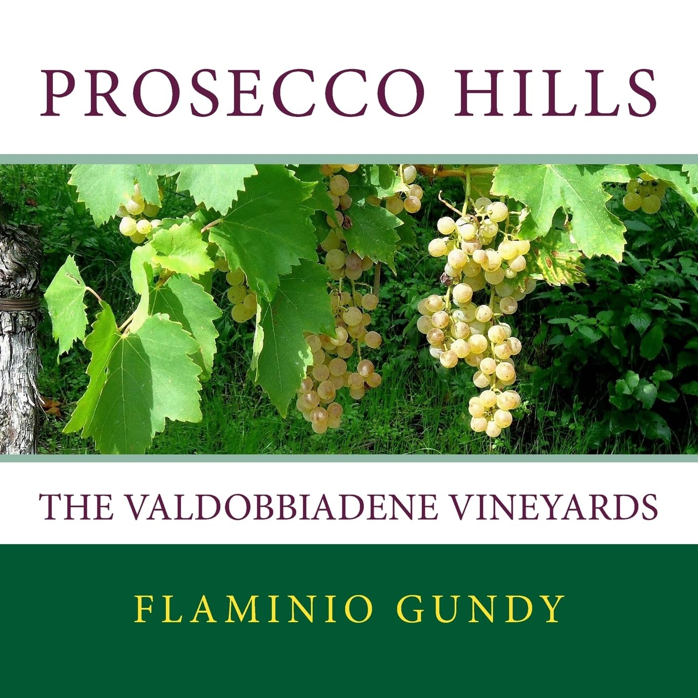 Prosecco hills: The Valdobbiadene vineyards