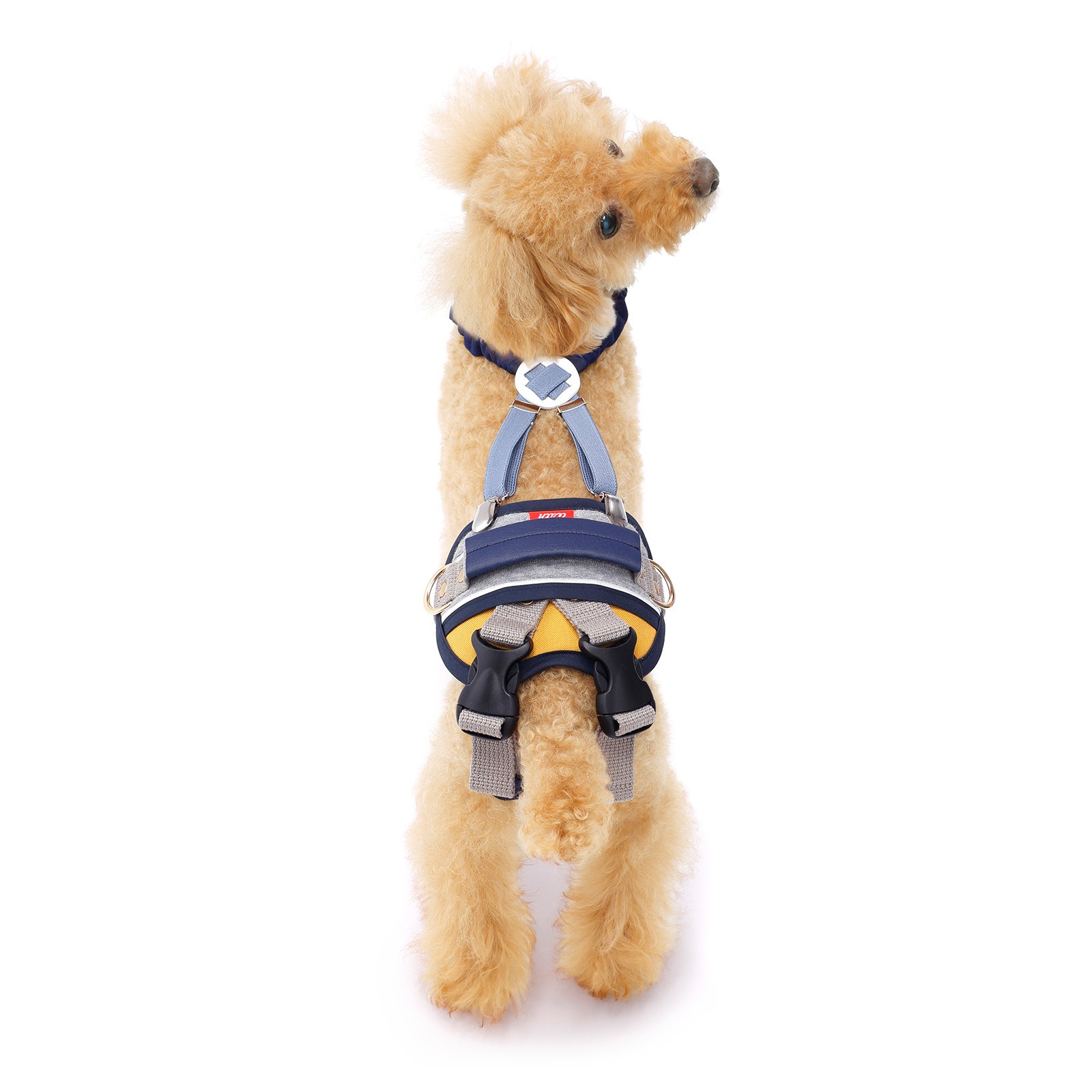 ☆ With ウィズ 歩行補助ハーネスLaLaWalkST ーツ 犬 F 510 Amazon | With(ウィズ) 歩行補助ハーネス LaLaWalk 中型犬・コーギー用