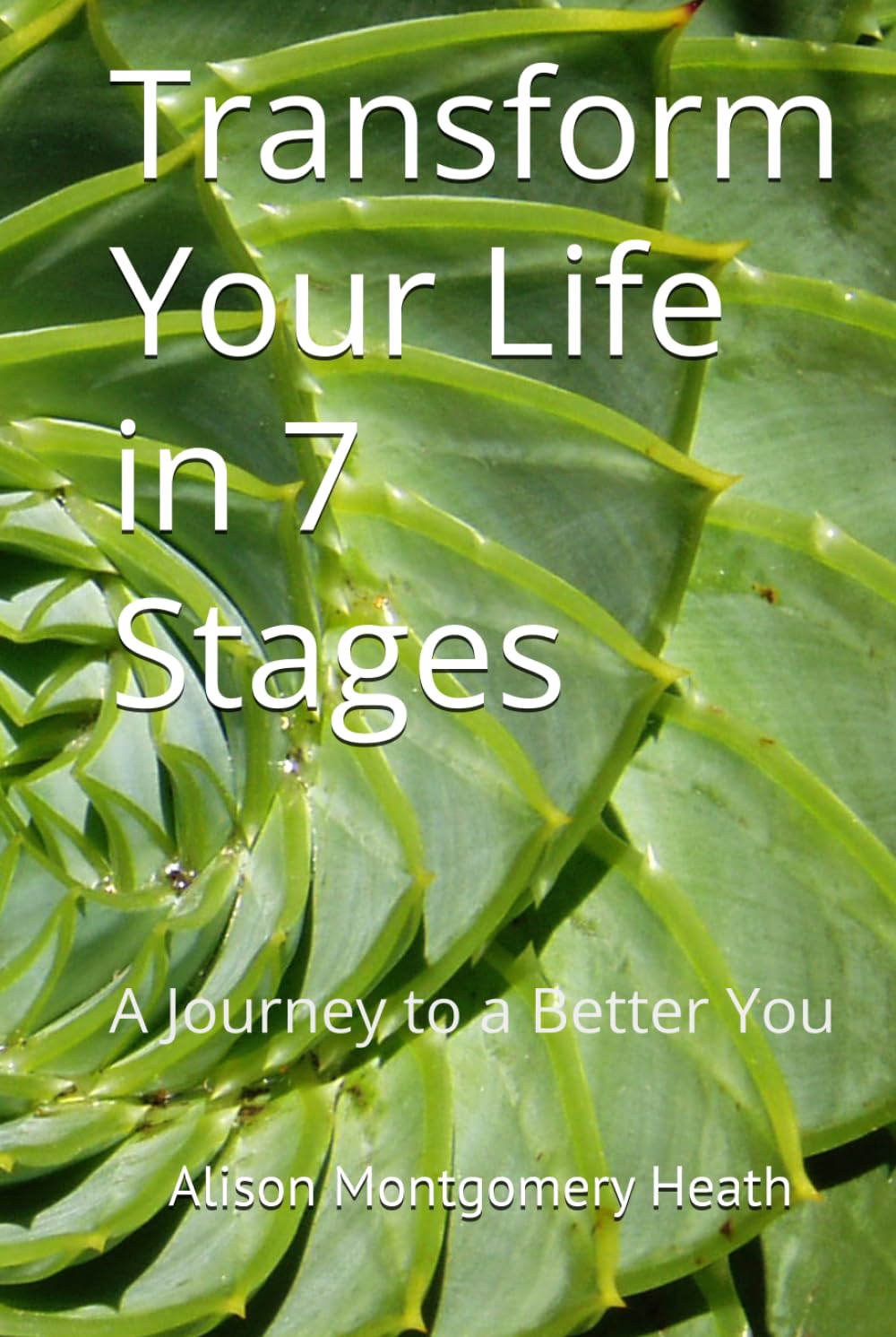 Transform Your Life in 7 Stages: A Journey to a Better You
