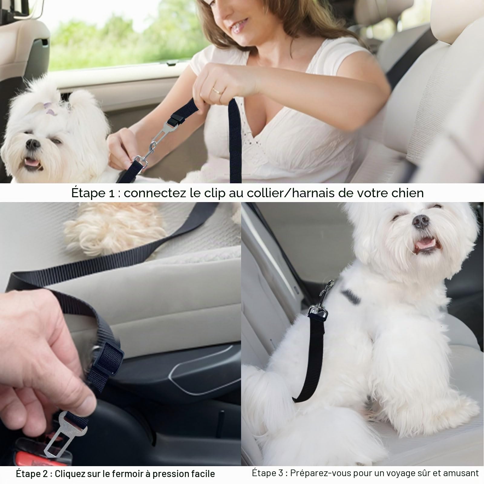 2 Pièces Harnais Voiture Chien Bleu et Noir Ceinture Chien 42-70cm Laisse Protégez-Vous et Votre Animal de Compagnie