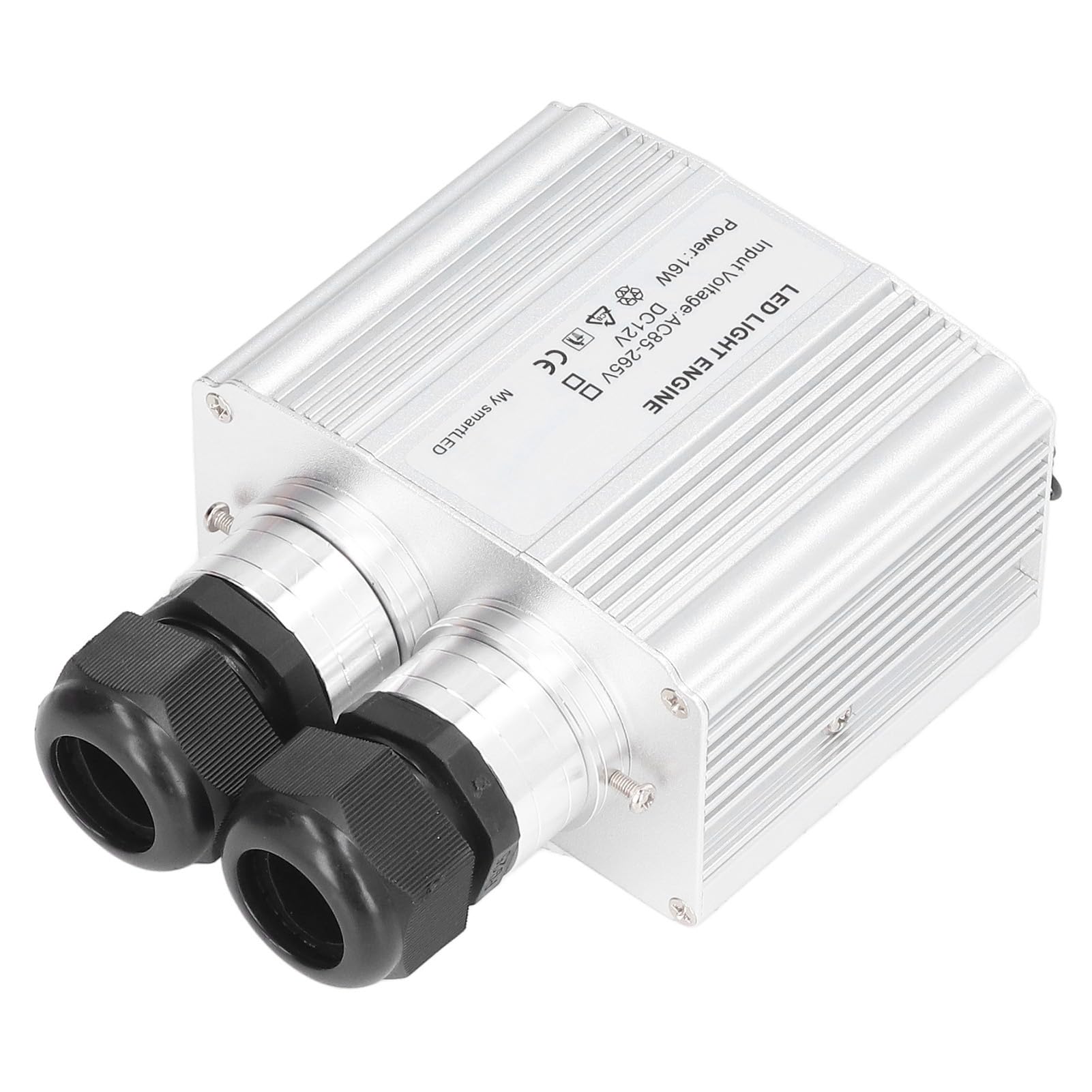 Luce a Fibra Ottica 16W RGBW con Telecomando, Illuminazione Decorativa a Doppia Testa per Casa Arte Tende Schermi Auto, Controllo Vocale Luci LED Effetto Lampeggiante