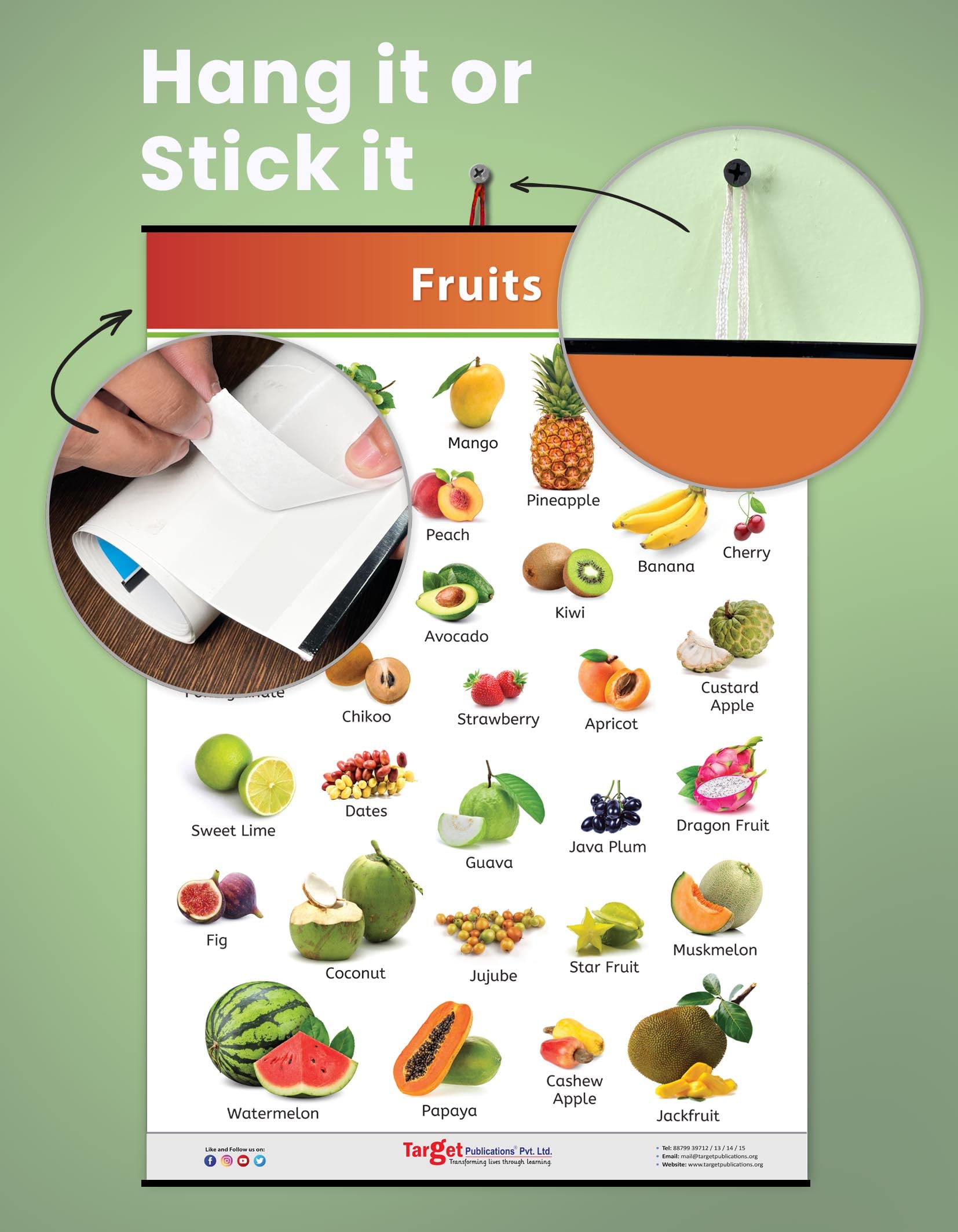 Buy Jumbo Fruits Chart for Kids My First Early Learning Educational Chart for Homeschooling