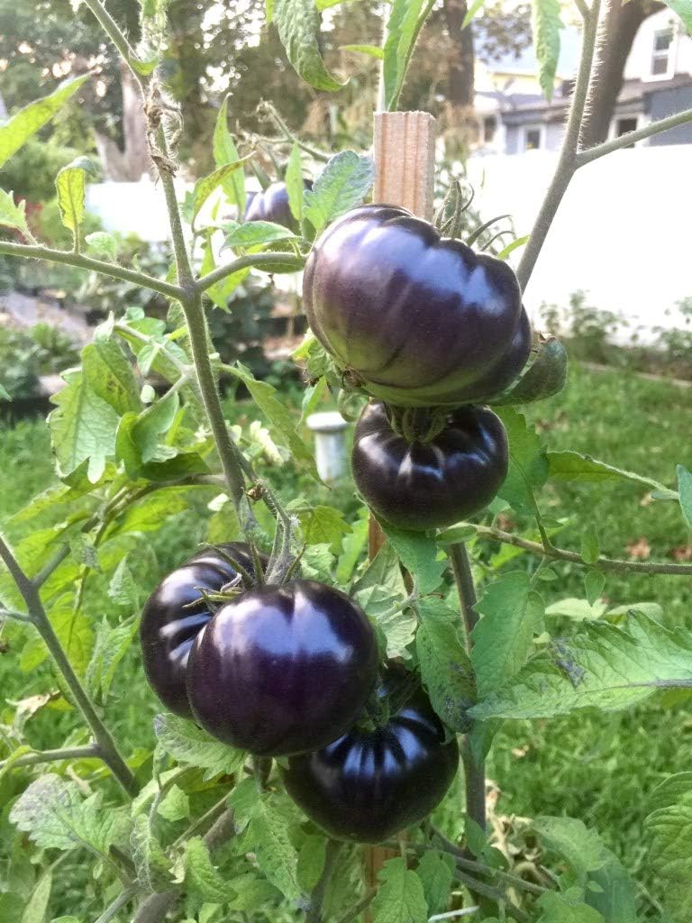 Vegetales