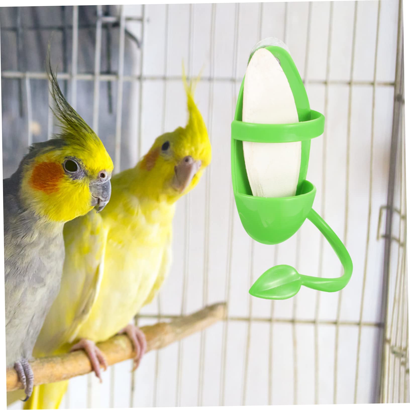 5 Juegos Soporte de Comida para Loros Soporte de alimentación de Jaula de pájaros Sepia para Jaula pájaros Comida Juguete comedero para cacatúas Suministros para Mascotas Kisangel