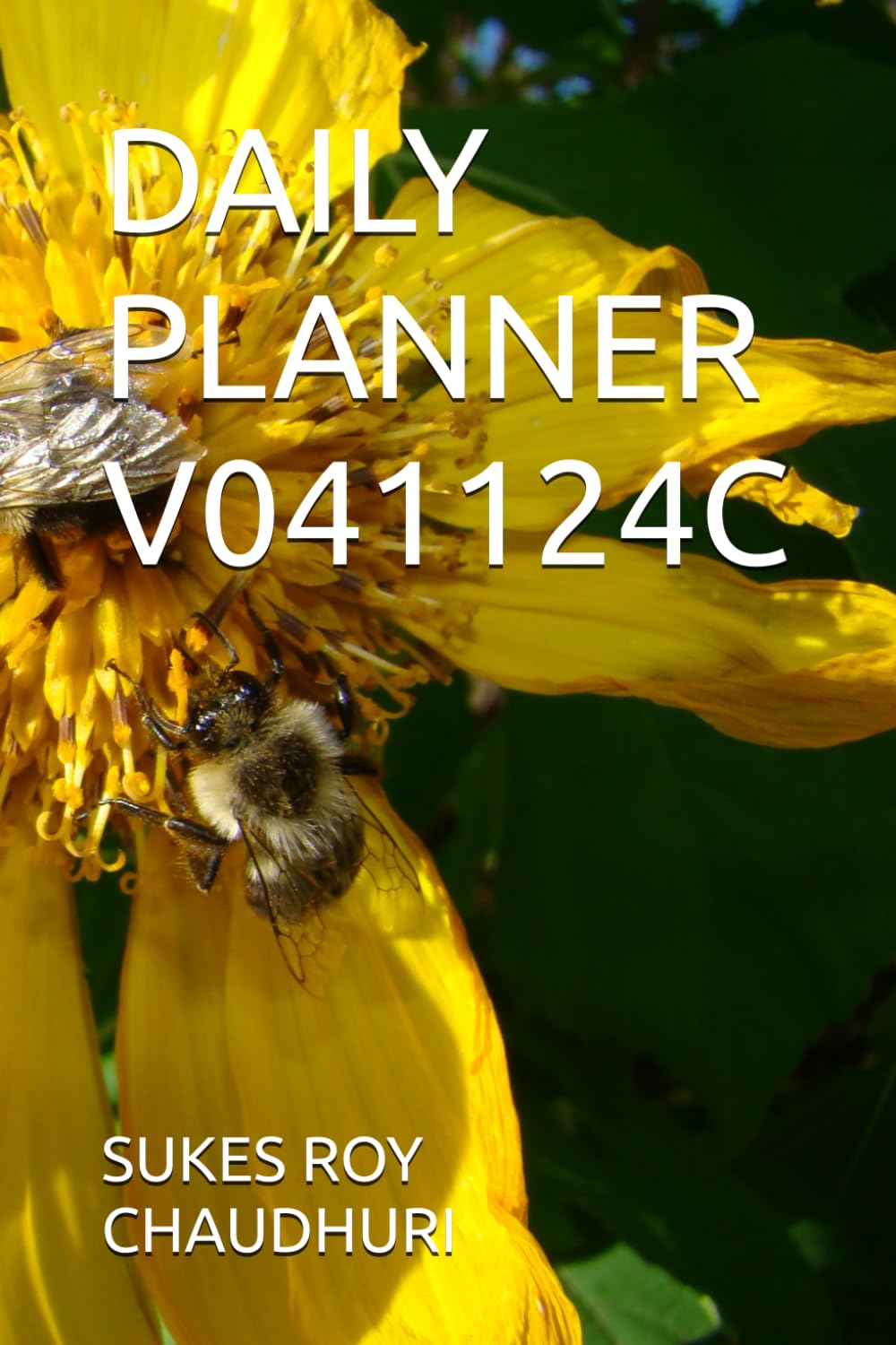 DAILY PLANNER V041124C