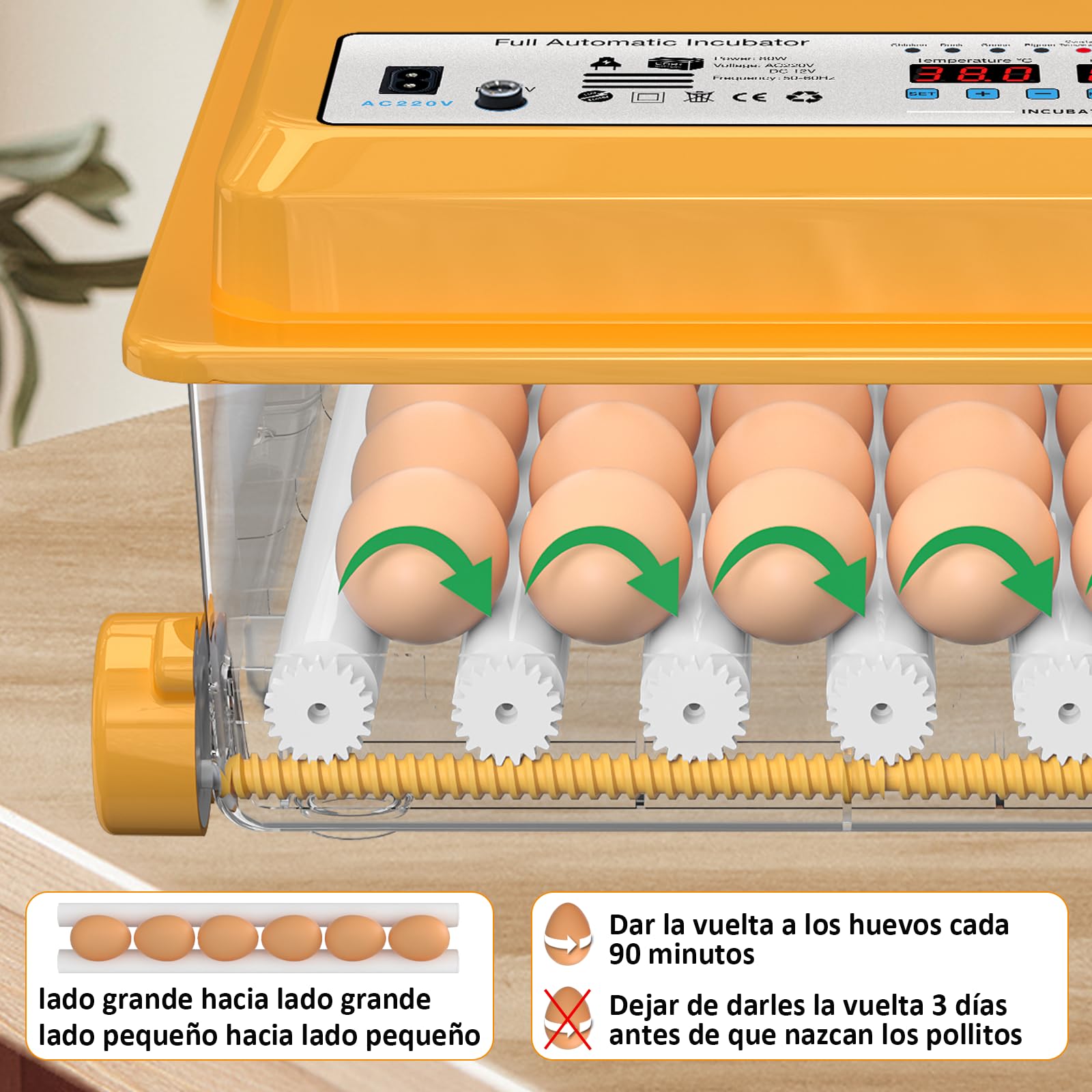 Incubadora Huevos Gallina para 36 huevos, Incubadora de Huevos Automatica con Control Temperatura, 5 Modos de Incubación Automáticos, Pantalla de Humedad, Llenado Automático de Agua y Volteo