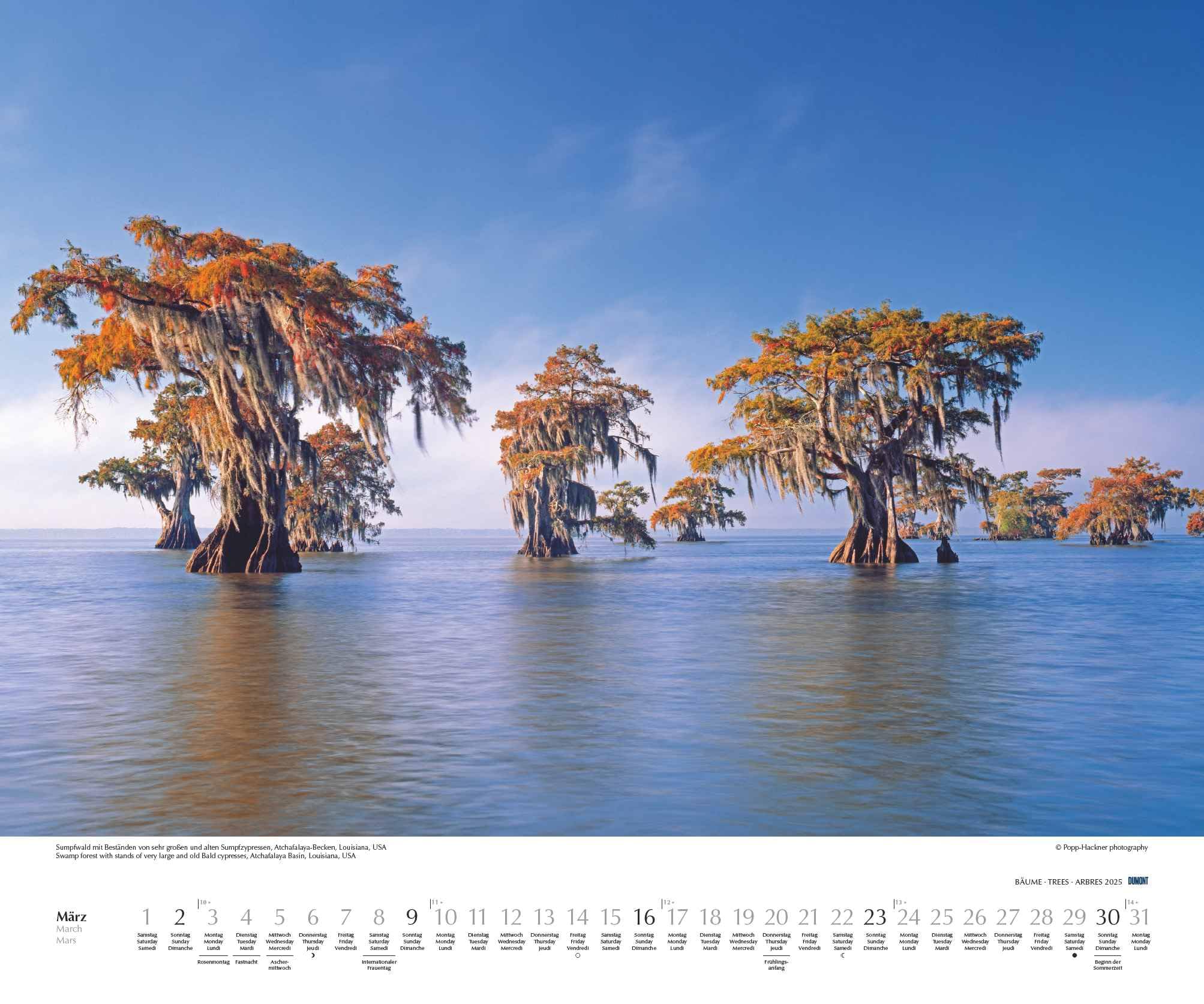 DUMONT - Bäume 2025 Wandkalender, 60x50cm, Fotokunst-Kalender mit Aufnahmen prächtiger Bäume, Abbildungen von Naturschönheiten aus aller Welt, mit Spiralbindung