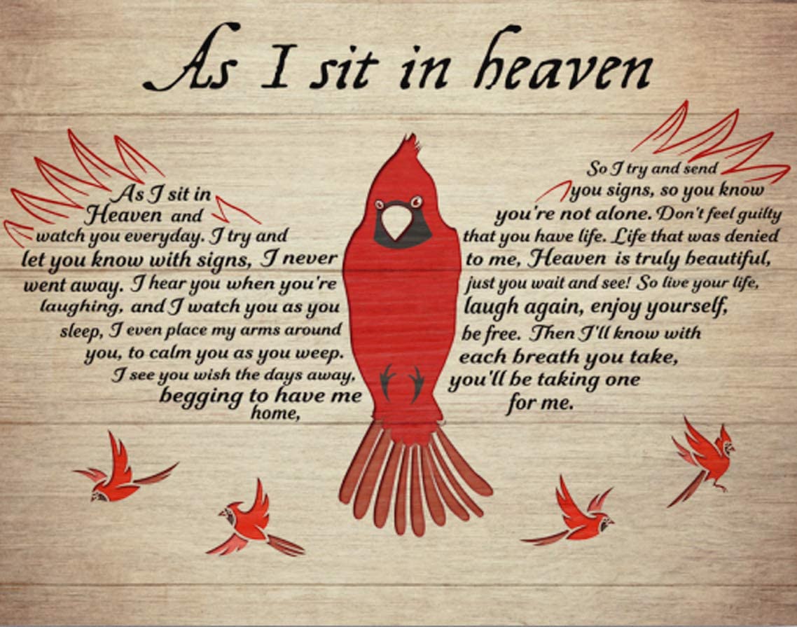 Vintage Tin Sign Cardinal That Fell From The Sky When I Was Sitting In Heaven Vintage Metal Tin Sign Bar Pub Club Cafe Home Wall Decor Metal Tin Sign 6x8 Inch
