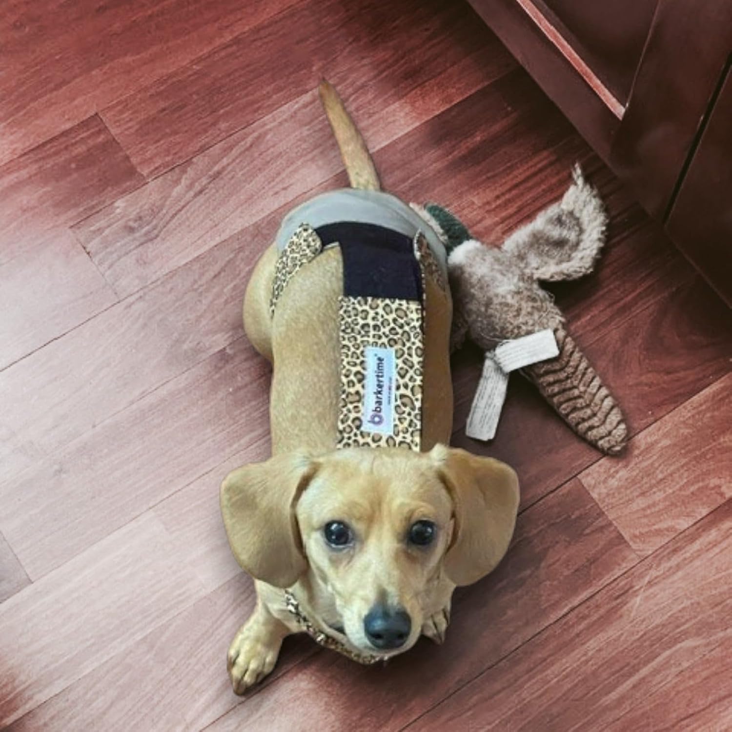 Leopard on Beige Dog Diaper Overall, S, with Tail Hole - Made in USA