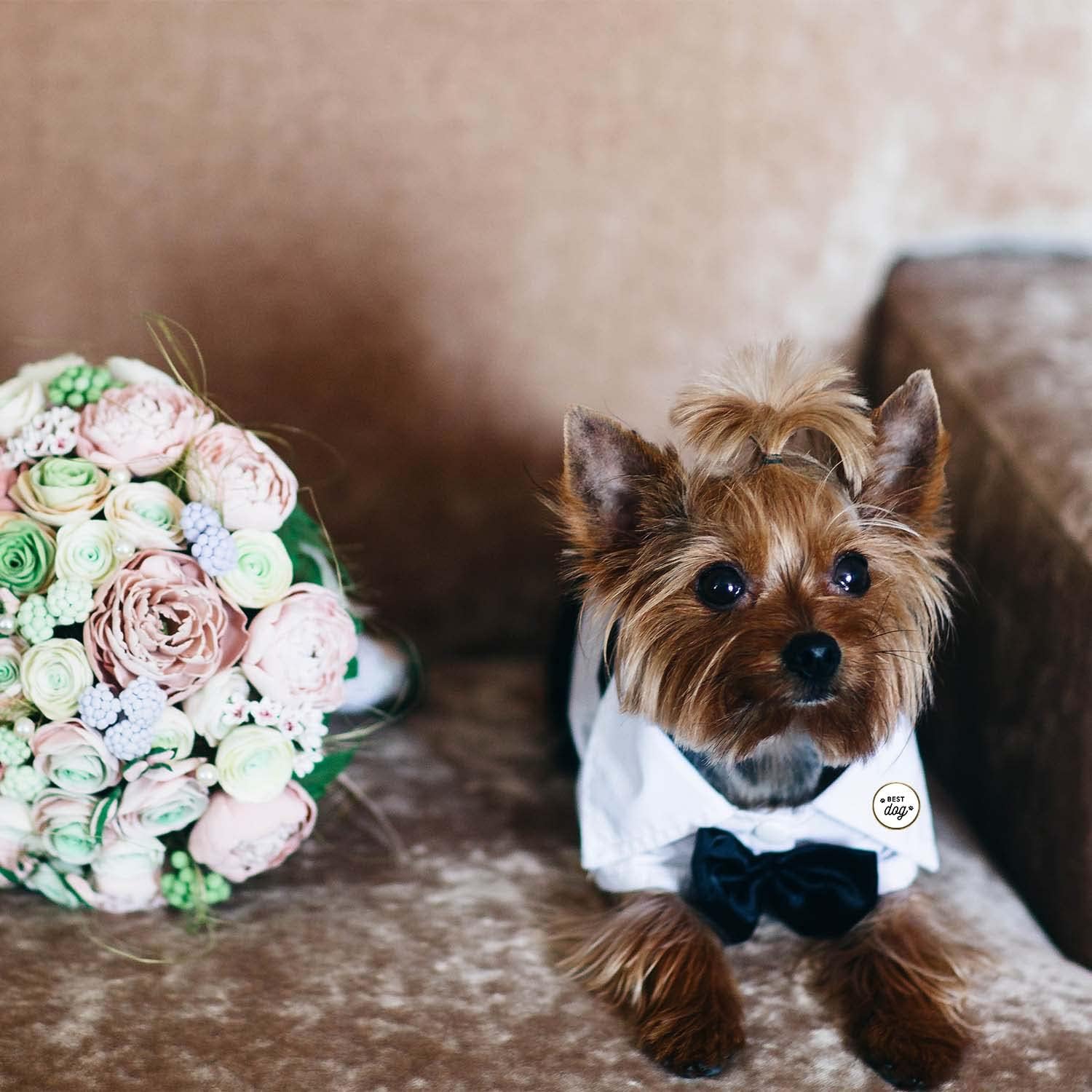 Andaz Press Wedding Lapel Pins Collection