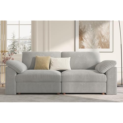 EASE MOOSE Modern Loveseat Sofa for Living Room, Comfty 2 Seat Solid Wood Frame Sofa, FSC Certified Modern Deep Seat Couch