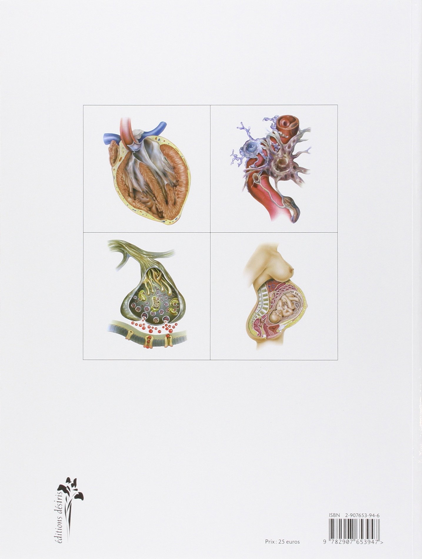 Atlas d'anatomie humaine
