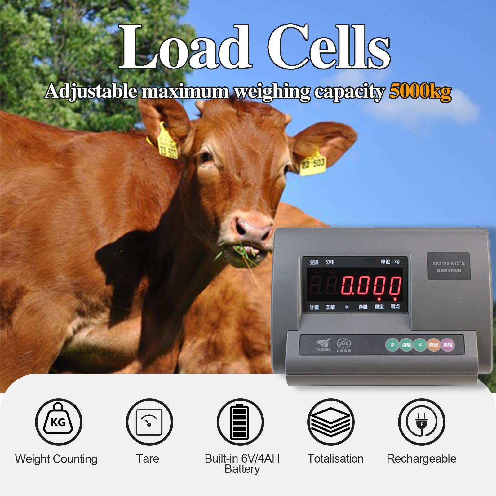 Bilancia Zootecnica Digitale Alta Precisione 11000LBS, 4 Celle di Carico, LED Display, Scatola Impermeabile Acciaio Inox per Bovini Suini Ovini