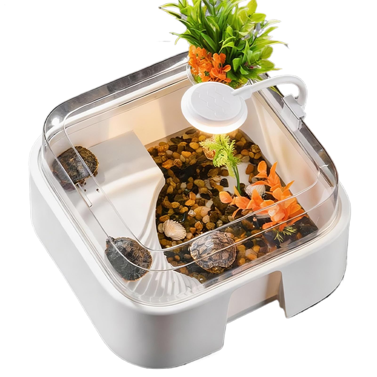 Terrarium À Tortues Habitats Reptile avec Accessoires Inclus | Enclos Aquatique Destiné Aux Tortues Et Reptiles Pour Intérieur Bureau Maison Poisson Dragon Barbu Crevette Gecko