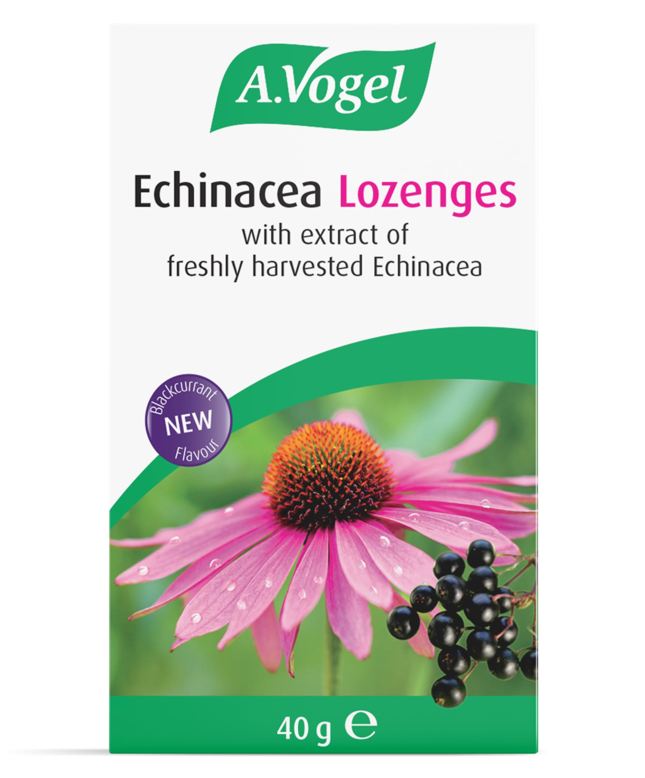 A.Vogel Echinacea Lozenges – Rich Blackcurrant Flavour – Naturally Flavoured Lozenges with Elderberry & Extracts of Freshly Harvested Echinacea - 40g