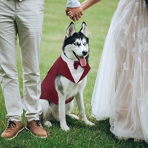 Miniatura 5 de Kuoser Traje de esmoquin para perro y bandana, traje de esmoquin para perros, traje de fiesta de boda, camisa de lazo de boda para perros grandes y