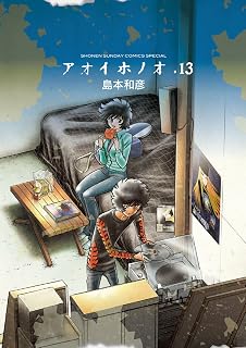 アオイホノオ（１３） (ゲッサン少年サンデーコミックス)