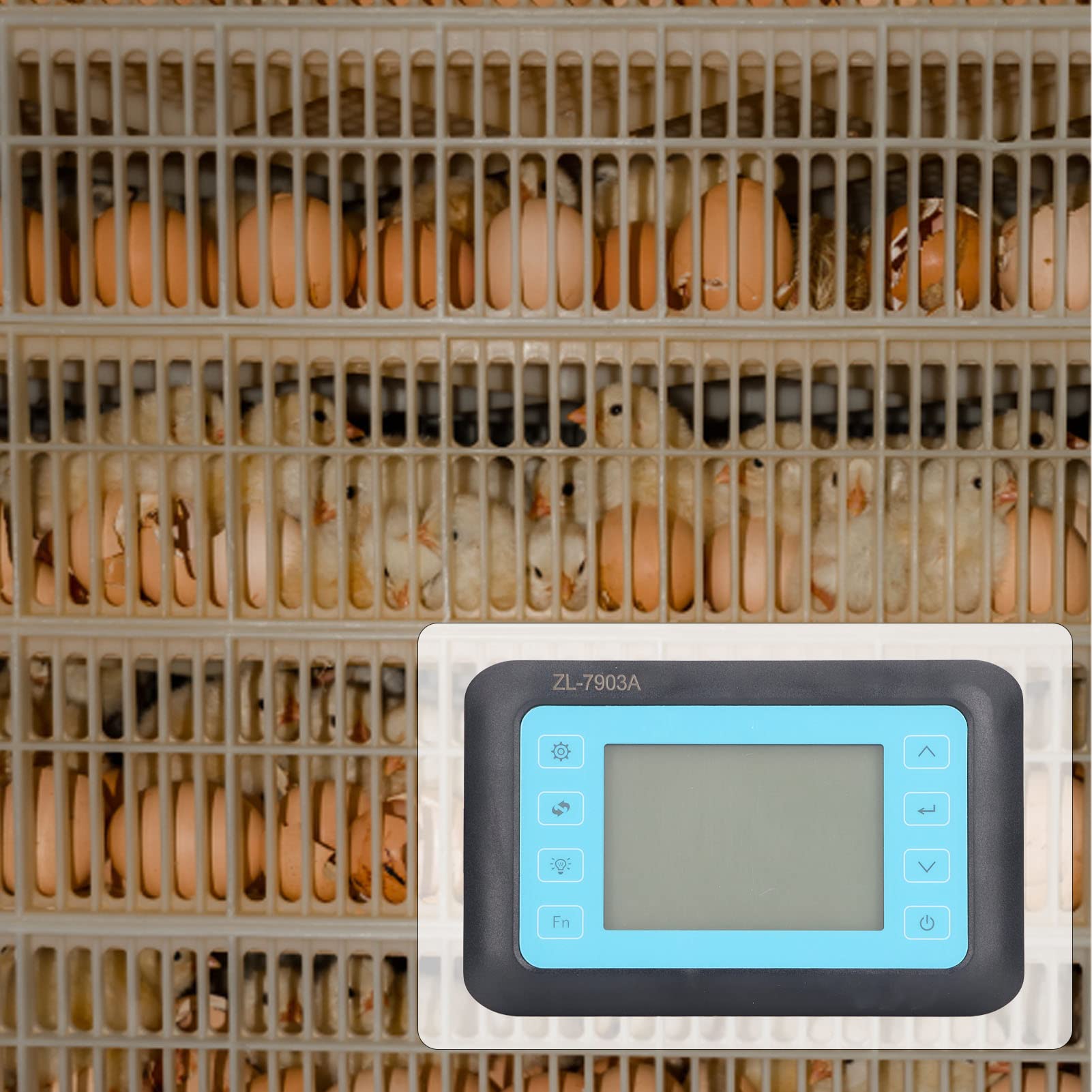 Haofy Controlador de Temperatura para Incubadora, Controlador de Temperatura ABS Ampliamente Utilizado en Equipos de Incubación (ZL-7903A)