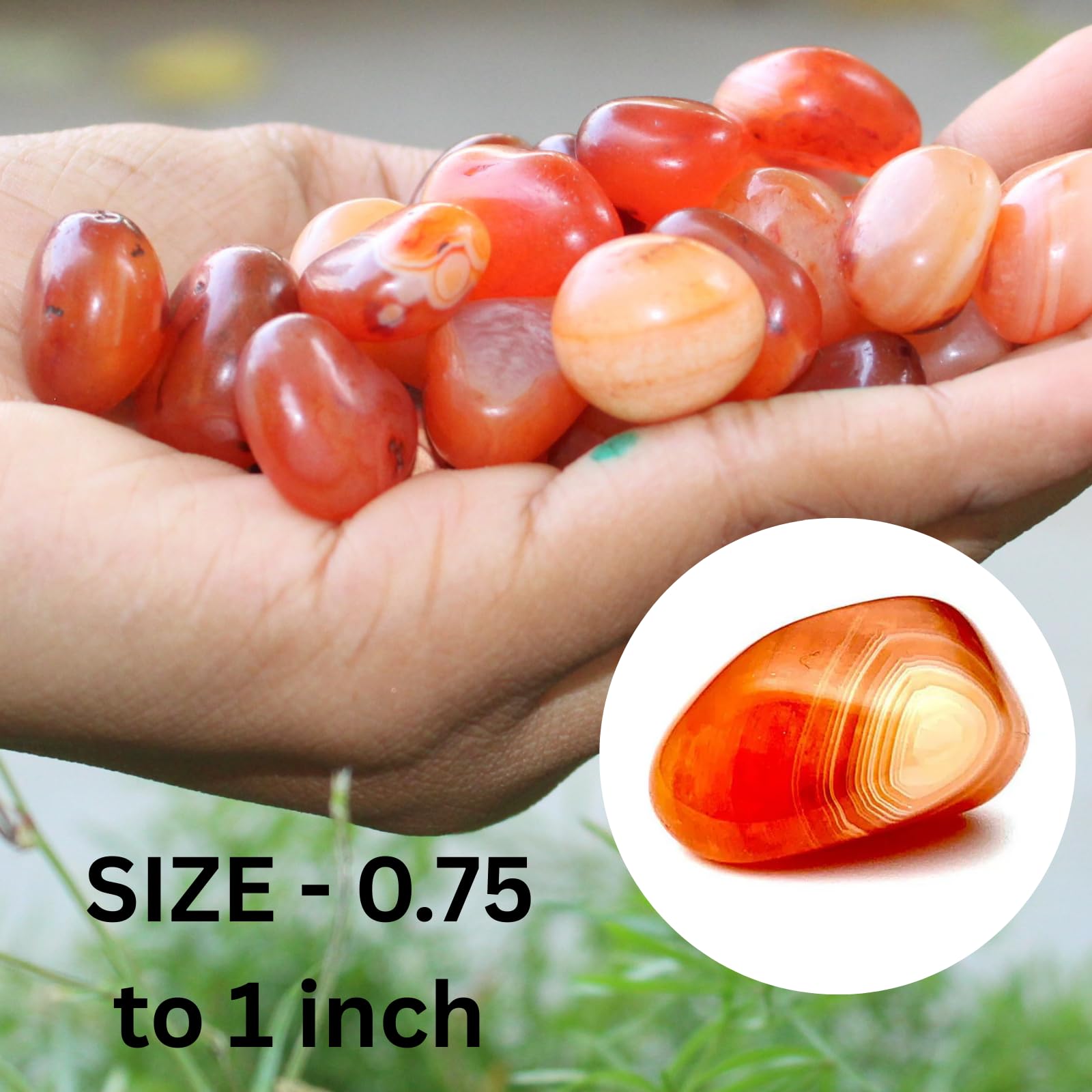 Amazon.com: Jet Carnelian Tumbled Stones (100gm) – Natural