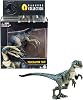 Jurassic World Hammond Collection Velociraptor Blue Dinosaur Figure, Premium Design & Articulation, Collectible Toy, HTV62