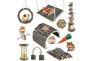 Durable Pet Rat Toys for Stimulating Play