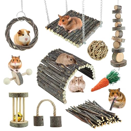 YIXUND Hamster Toys Rat Toys Chinchilla Toys Hamster Chew Toys