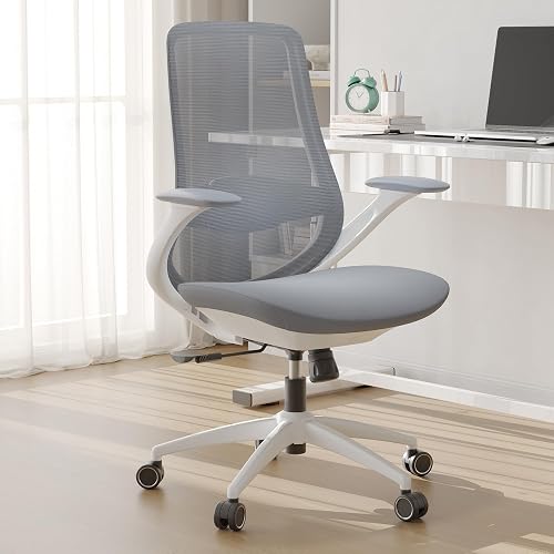 Ergonomic Mesh Office Chair, 330LBS Executive Desk Chair with Lumbar Support, 2D