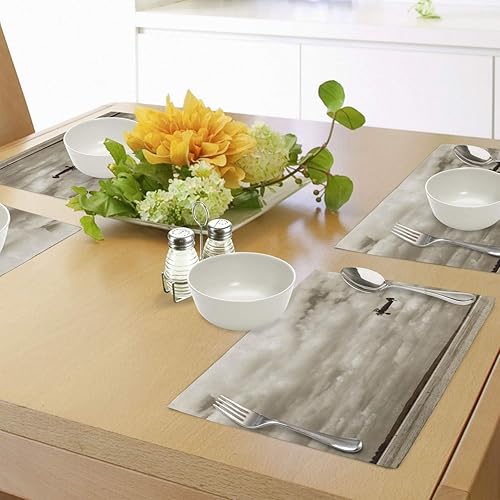 Miniatura 4 de Ambesonne Juego de 4 manteles individuales vintage de avión, diseño de cielo nublado dramático, aviación, sobrevuelo, composición obsoleta, manteles