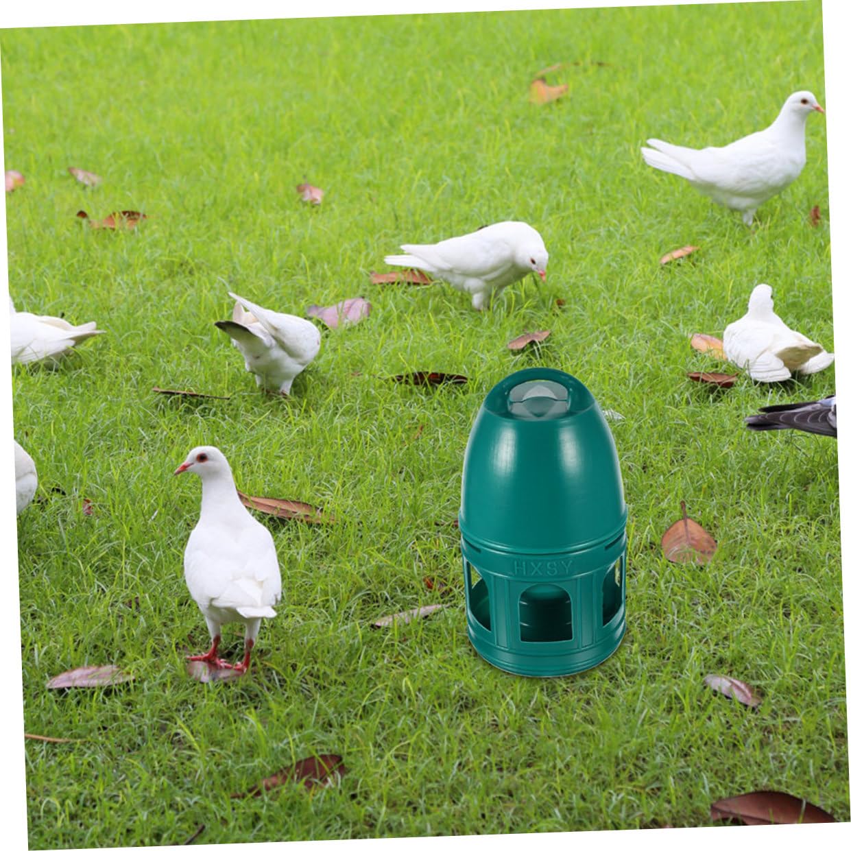 Abreuvoir à Pigeons 10 L en Plastique Vert, Rond, Poignée