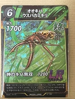 Amazon.co.jp: 蟲神器 L R オオキバウスバカミキリ 他6枚セット : 楽器