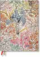 Paperblanks 12-Monats Kalender 2024 Anemone - Midi 13x18cm Horizontal