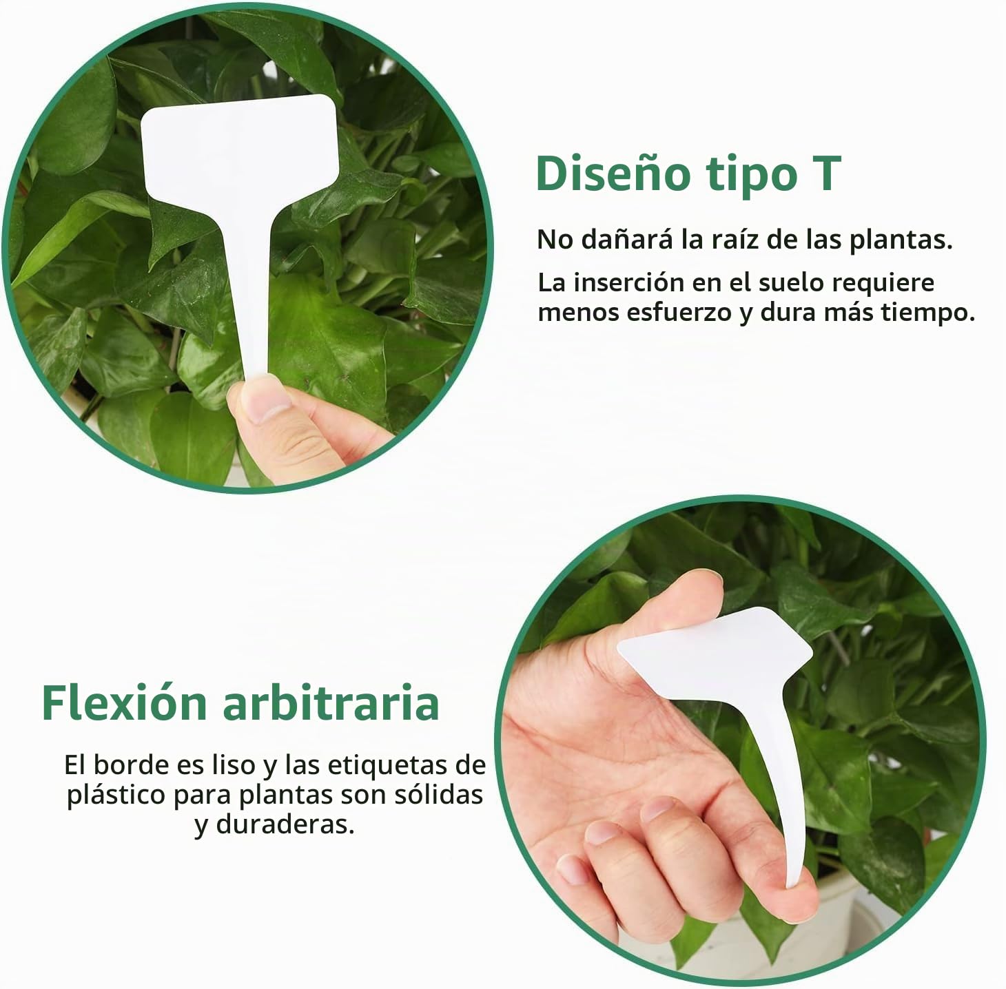 KINGLAKE 100 piezas etiquetas para plantas jardinería huerta impermeable plastico adecuado para nombre plantas,blanco,6x10CM idades