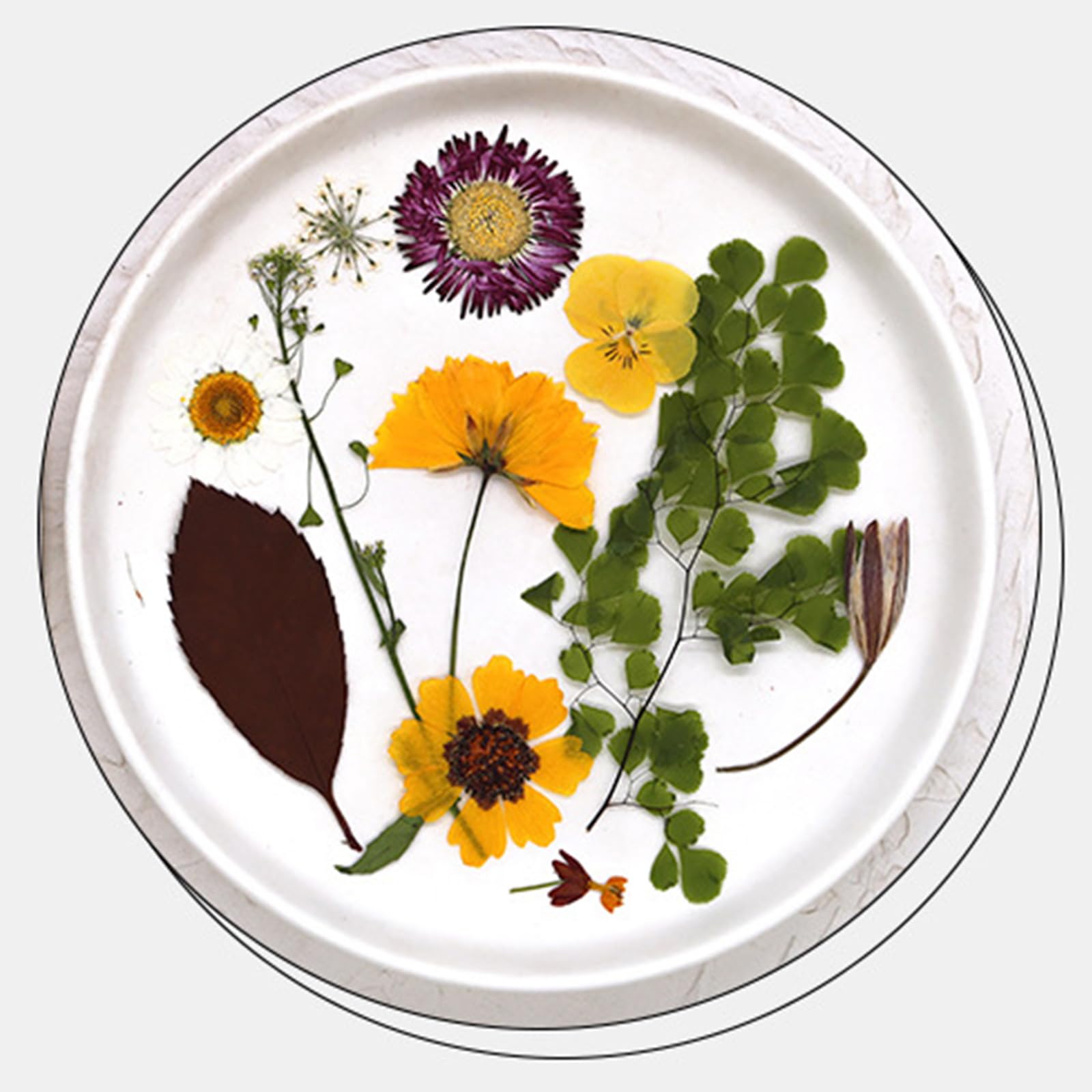 180 stampi in resina per fiori secchi pressati, veri fiori pressati, foglie secche naturali, misti, kit con pinzette, per scrapbooking, fai da te, candele, gioielli, artigianato, decorazioni per