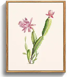 crmotu Botanical Framed Wall Art, Cactus Floral Canvas Prints, Tropical Plant Nature Wall Decor, Minimalist Vintage Pictures for Bedroom Bathroom Kitchen Desktop, Rustic Farmhouse Decor, 9x11 inch